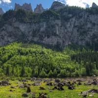 fantastic mountain view in austria