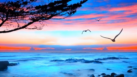 fabulous ocean view - ocean, tree, birds, waves