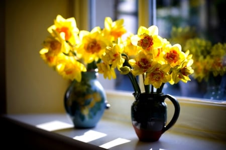 VASES of DAFFODILS - vases, window, spring, daffodils