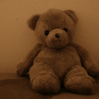 teddy