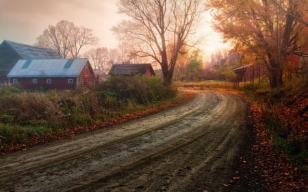 Autumn Road - house, landscape, trees, seasonal