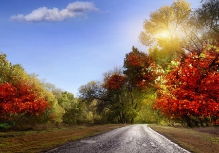 Autumn - magic, landscape, forest, leaves, sunrays, autumn splendor, sky, woods, sun, clouds, sunlight, trees, road, fall, nature, rays, autumn