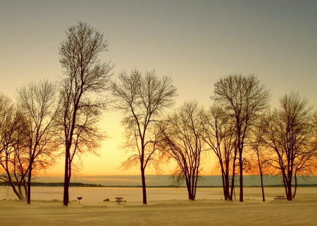 Sunset - river, trees, sunset, autumn