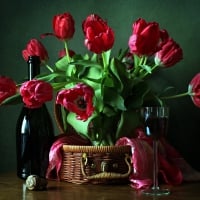 Tulips