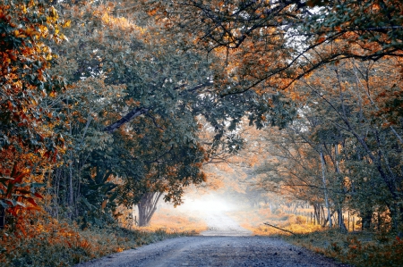 *** Autumn seasons *** - frozen, trees, nature, autumn