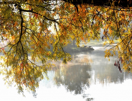 *** Autumn on Lake *** - nature, lake, tree, autumn