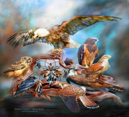 spirit birds - eagles, hawk, owl, birds, falcons