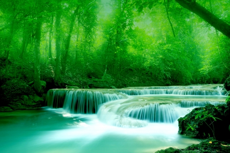 RIVER FALLS - nature, falls, forest, river