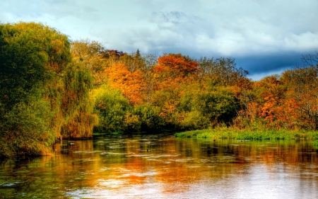 AUTUMN RIVER - hampshire, nature, england, autumn, river, itchen