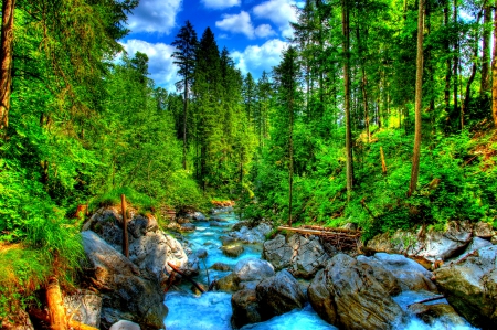 FOREST CREEK - Germany, Nature, River, forest, HDR, Bayern, Stones, Landscape, Ramsau