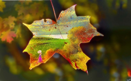 fall leaf - leaf, fall, nature, autumn