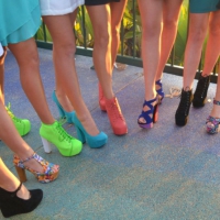 A Rainbow of Legs