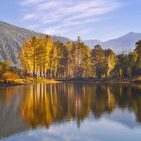 Autumn Forest Reflection!