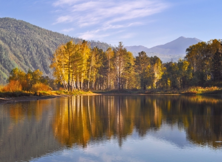 Autumn Forest Reflection! - forest, nature, reflection, autumn