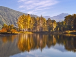 Autumn Forest Reflection!