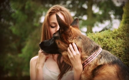 *** Girl with german shepherd *** - animal, dogs, girl, dog, animals