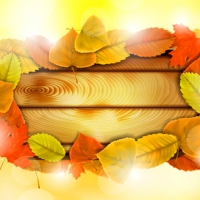 Autumn background