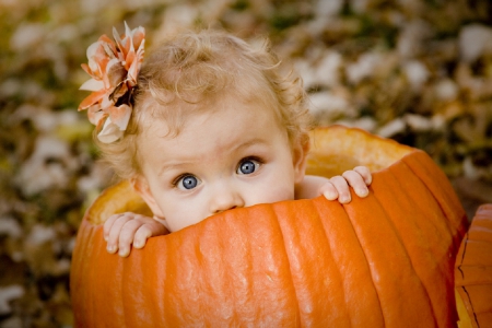 Hello :) - nice, pumpkin, marvellous, photography, great, wonderful, samhain, super, halloween, amazing, pretty, adorable, wallpaper, stunning, outstanding, picture, abstract, halloween pumpkins, beautiful, awesome, pumpkinhead, lights, fantastic