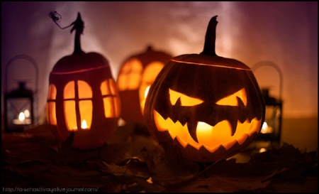 Halloween - nice, pumpkin, marvellous, photography, great, wonderful, samhain, super, halloween, amazing, pretty, adorable, wallpaper, stunning, outstanding, picture, abstract, halloween pumpkins, beautiful, awesome, pumpkinhead, lights, fantastic