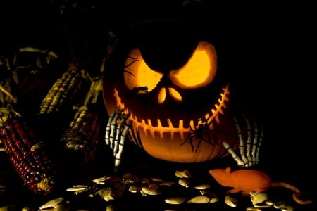 Halloween - nice, pumpkin, marvellous, photography, great, wonderful, samhain, super, halloween, amazing, pretty, adorable, wallpaper, stunning, outstanding, picture, abstract, halloween pumpkins, beautiful, awesome, pumpkinhead, lights, fantastic