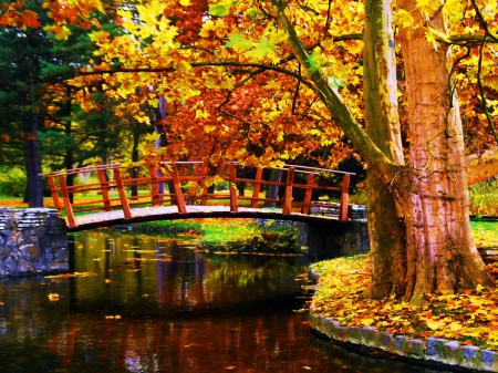 Bridge in Forest - Rivers & Nature Background Wallpapers on Desktop ...