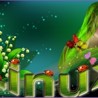 linux