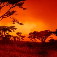 Red African Sunset!