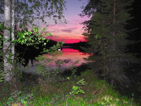 Sunset - quiet, sundown, amazing, evening, grass, night, reflection, calmness, shore, lake, nice, sky, branches, trees, water, beautiful, mirrored, colors, lovely, darkness, colorful, river, nature, sunset, serenity, serenitry