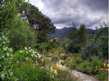 Plockton Front Garden - garden, plockton