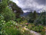 Plockton Front Garden