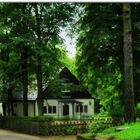 A Tavern In The Forest