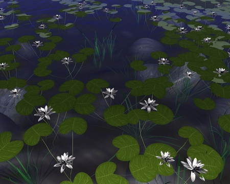 3D WATER LILIES - 3d, lillies, water