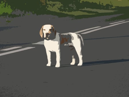 Dog - Paper-Cut - cut, street, dog, paper, paper-cut