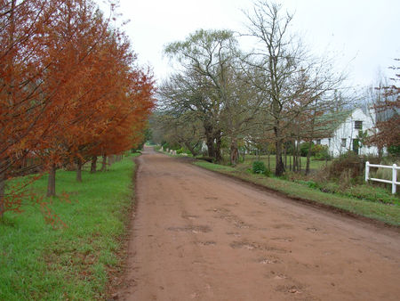 Country lane - autumn, trees, rural, road, country lane