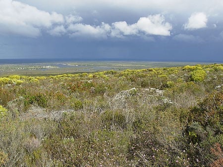 Storm cloud gathering - vegetation, field, cloud, storm