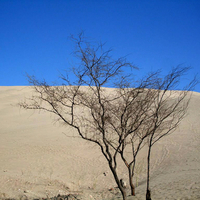 Huacachina Desert