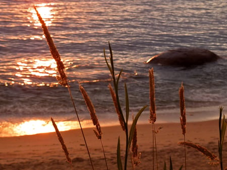 	Atardecer-atlantico - atlantic, ocean, beach