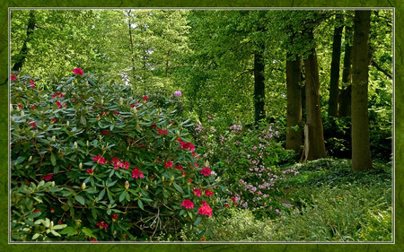 Park view - nature, parks