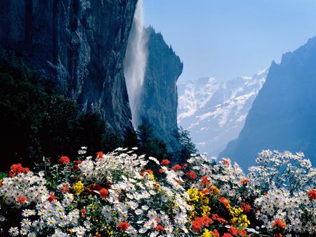 Staubbach waterfalls Lauterbrunnen,Switzerland - famous, falls, europe paradise, landmark, snowy, peaks, switzerland