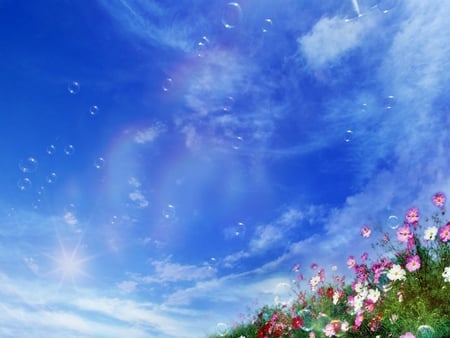 RADIANT COLORS - flowers, radiant, colors, sky