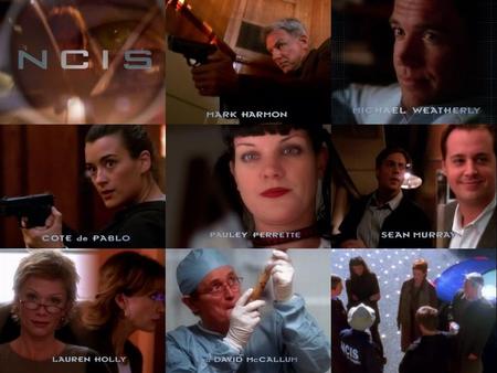 The NCIS team - tony, jen, gibbs, mcgee, abby, ziva, ducky