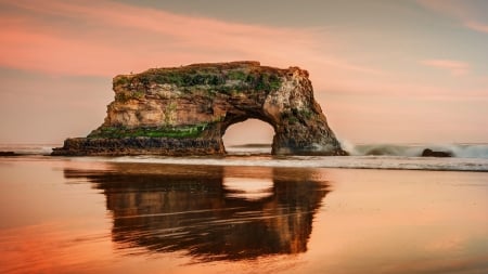 wonderful rock off the coast of santa cruz cali. - opening, birds, beach, rock, moss, sea, reflection