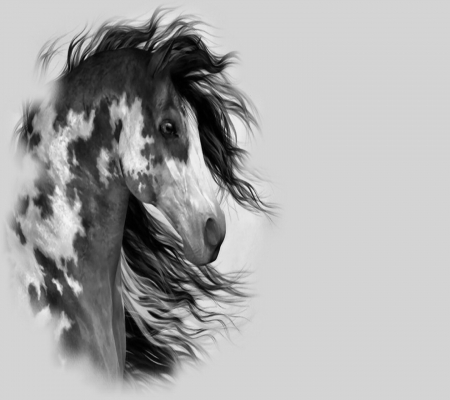 war horse - fast, running, wallpaper, horses, war horse, art, animal, desktop, draft horse