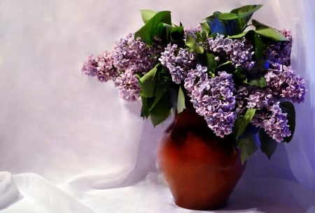 * Lilacs * - flowers, lilacs, sweet, aroma