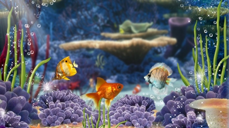 Heavenly Fish - ocean, aquarium, water, bubbles, plants, coral, fish, grass, sea