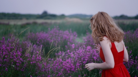 Girl - red, purple, fields, girl