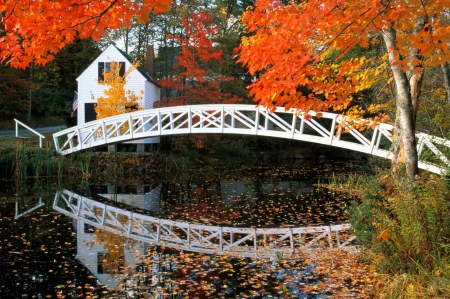 Autumn Bridge - autumn scene, pretty autumn, Autumn Bridge, scenic autumn, autumn home