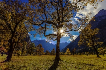 Austria, Karwendel mountains - clouds, landscape, trees, valley