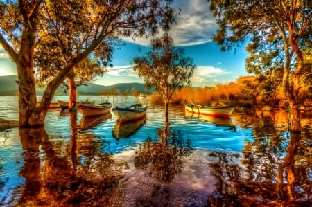 Autumn by the lake - photo, lake, trees, autumn