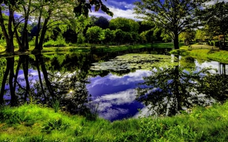 PARK POND - park, hdr, landscape, pond